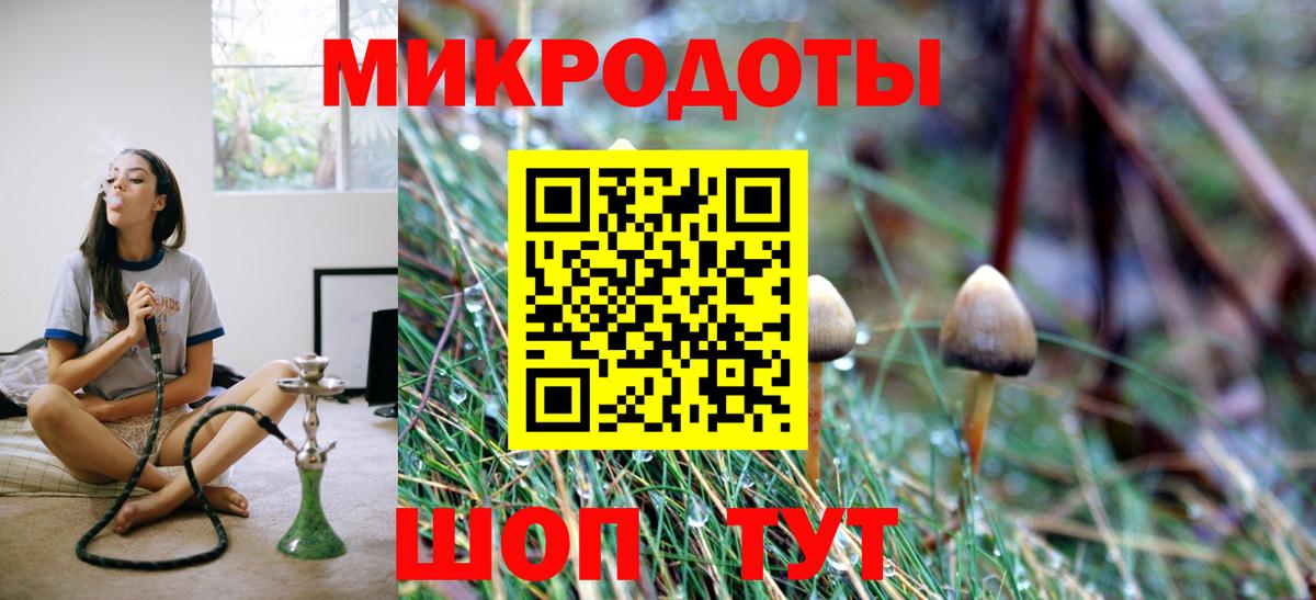 Псилоцибиновые грибы прущие грибы Чита