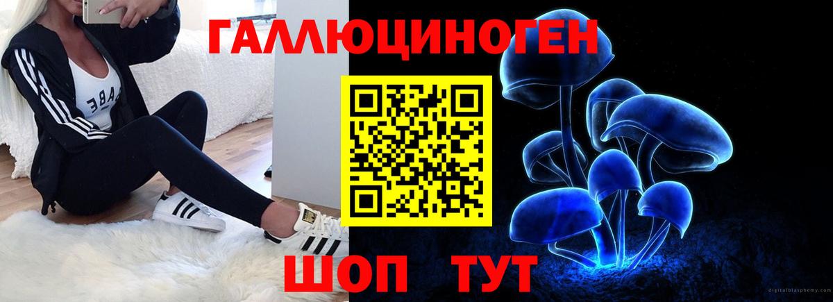 Псилоцибиновые грибы Psilocybe  закладки  Чита  Вход с VPN 